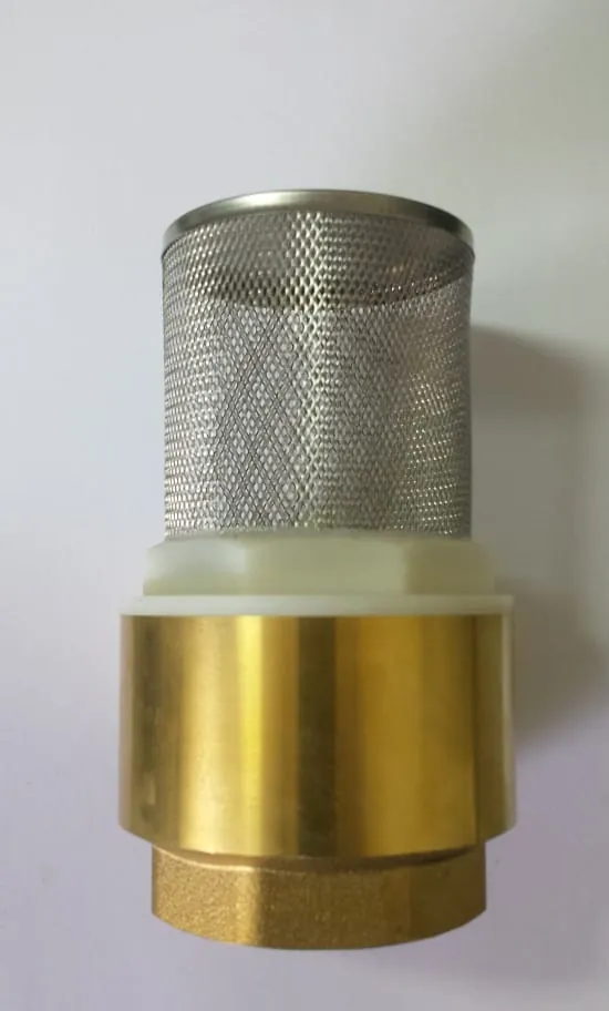 Válvula Fundo de Poço com Tela Inox 3 Polegada Emmeti - Imagem 2